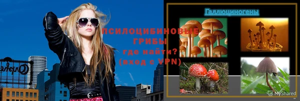 ПСИЛОЦИБИНОВЫЕ ГРИБЫ Абдулино
