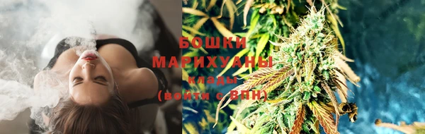 ПСИЛОЦИБИНОВЫЕ ГРИБЫ Абдулино