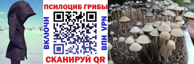 Галлюциногенные грибы ЛСД  МЕГА ONION  Черногорск 