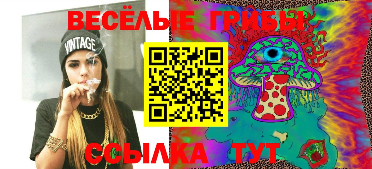Галлюциногенные грибы мухоморы Черногорск