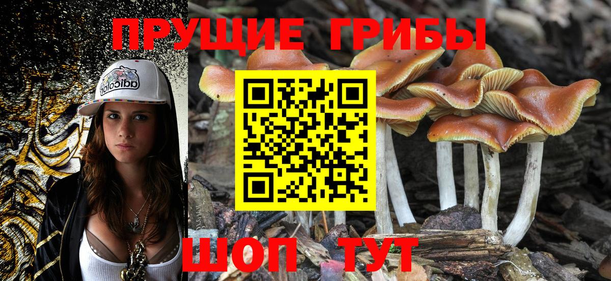 Черногорск  Псилоцибиновые грибы ЛСД  Галлюциногенные грибы Psilocybine cubensis  Вход с VPN 